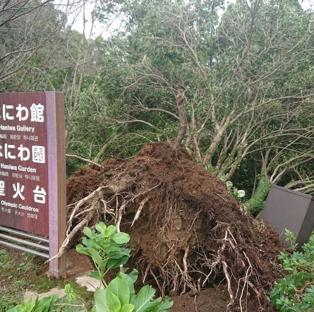9月28日追記..台風後の園内、遠路の清掃はほぼ終わりました。安心してご利用ください😀
（池畔広場の東屋撤去はしばらくお待ちください💦）
.
台風14号により
県内は浸水や土砂崩れなどの被害が
相次ぎましたね...。
宮崎県民で台風には慣れている
つもりでしたが、
今回は本当に怖かったです..。
.
県内はまだ停電や断水等で困っている
方がたくさんいらっしゃるようで...。
被害に遭われた皆さんが1日も早く
普段の生活に戻れるよう願っています💦
.
公園については、本日より復帰作業や遠路清掃を行っていますが、もとの状態に戻すまでにしばらく時間がかかりそうです....。
ご来園の皆様にはご迷惑をおかけしますが、
ご理解ご協力をお願いいたします。
.
#台風14号
#宮崎県　#宮崎市
#平和台公園