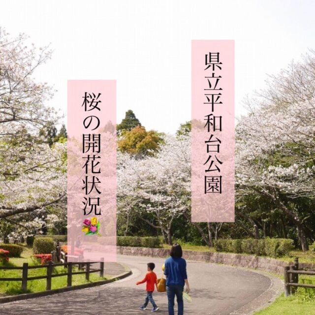 園内の桜の開花状況は
ストーリーでお知らせし、
トップのハイライトに
まとめていく予定です🌸
※園内での火気使用は禁止となっております。
（ホットプレート、発電機の利用も禁止）
.
#宮崎県
#宮崎市　#miyazaki
#heiwadaipark 
#お花見　#九州　#公園