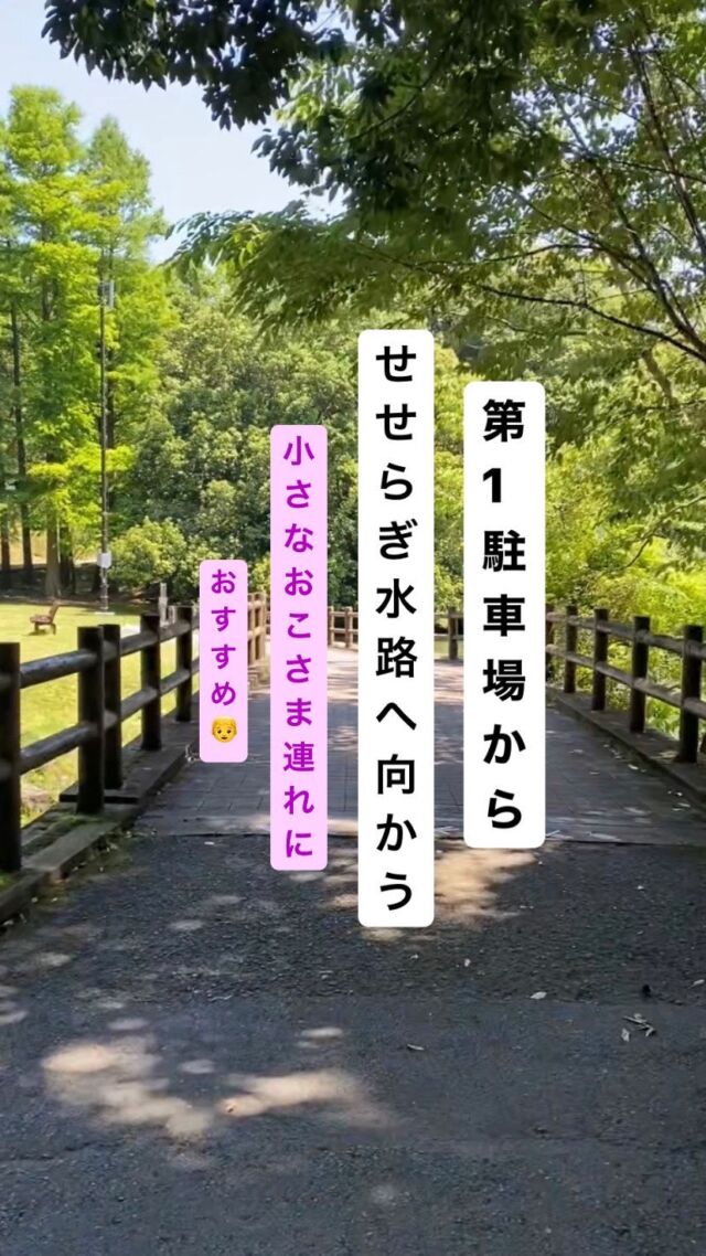 階段を使わずせせらぎ水路まで行きたい方は
こちらの行き方がおすすめです👦
.
※アプリの関係上中国語のような文字がまぎれて
　おります💦🙇
.
#平和台公園　#蛍観賞期間
#宮崎県　#宮崎市
#ホタル　#ヒメボタル　#ゲンジボタル
#miyazaki_jp  #miyazaki_city