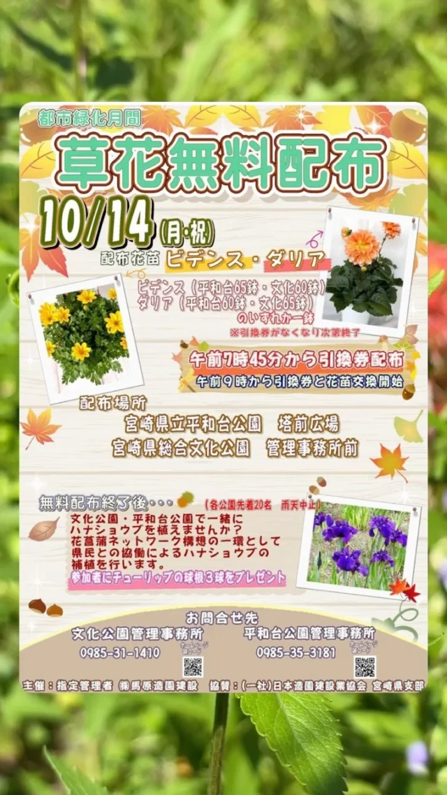 10/14『草花無料配布』のお知らせ
.
今回は「ビデンス」・「ダリア」のいずれか1鉢を配布いたします。
当日、7時45分から引換券を先着125名様に配布し、
午前9時から引換券と花苗を交換します。
引換券が無くなり次第締め切らせて頂きますので、
あらかじめご了承下さい。
無料配布後は、一緒にハナショウブを植えませんか？
花菖蒲ネットワーク構想の一環としてハナショウブの植栽を
実施します。
参加いただいた方にはチューリップの球根を3球プレゼント🌿
.
皆様のご来園をお待ちしております。
.
#平和台公園 
#宮崎県　#宮崎市
#ダリア　#ビデンス
#ガーデニング　#宮崎市イベント
#花のある暮らし 
#緑のある暮らし 
#miyazaki_colors 
#kyushu